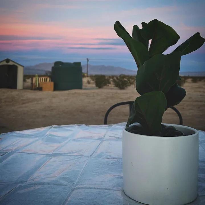 Serene Modern Backdoor With Great Wifi, Games, Movies, Patio Seating And Bbq Easy Access To North Joshua Tree National Park In 10 Minutes Twentynine Palms